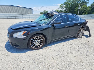 1N4AA5AP4AC****** 2010 Nissan Maxima