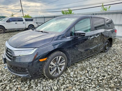 5FNRL6H82PB****** 2023 Honda Odyssey