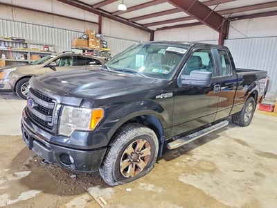 1FTFX1EF7DF****** 2013 Ford F-150