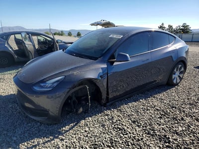 5YJYGDEE9MF****** 2021 Tesla Model Y