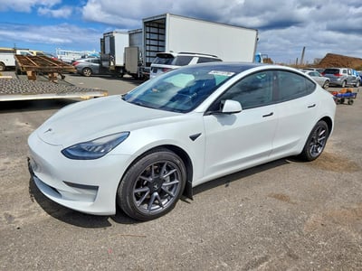 5YJ3E1EA1MF****** 2021 Tesla Model 3