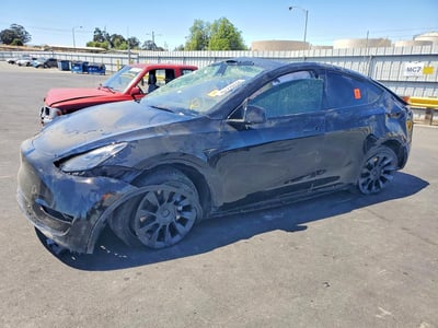 7SAYGAEE0RF****** 2024 Tesla Model Y