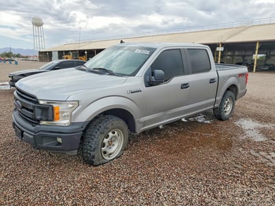 1FTEW1E4XLK****** 2020 Ford F-150