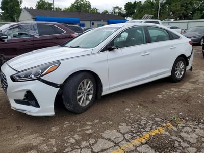 5NPE24AA9KH****** 2019 Hyundai Sonata
