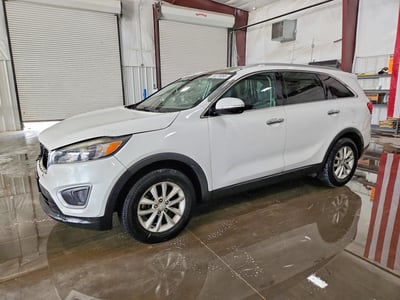 5XYPG4A32GG****** 2016 Kia Sorento