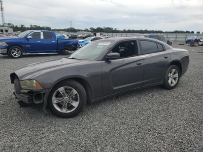 2C3CDXBG7DH****** 2013 Dodge Charger