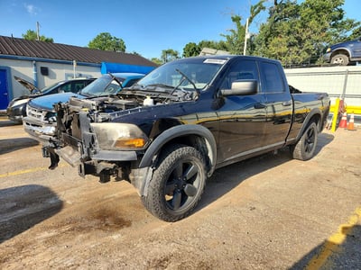 1D7RB1GP7AS****** 2010 Dodge Ram Pickup