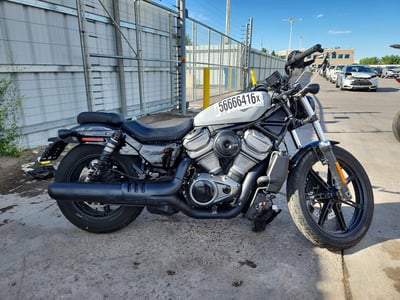 1HD1ZH116RB****** 2024 Harley-Davidson Nightster