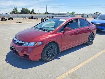 19XFA1F81AE****** 2010 Honda Civic