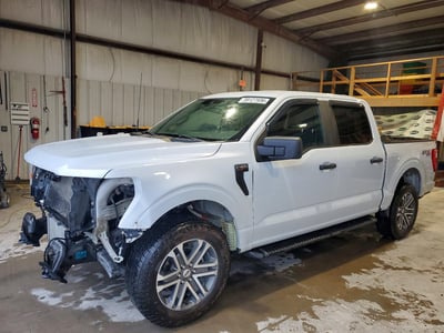 1FTEW1EP4MK****** 2021 Ford F-150