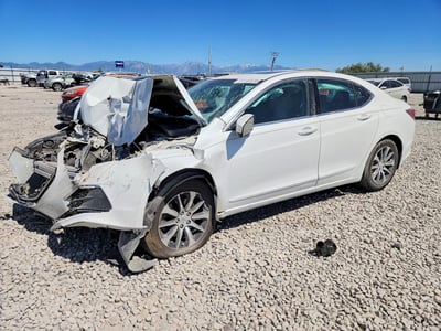 19UUB1F30FA****** 2015 Acura TLX