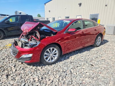 1G1ZD5ST9KF****** 2019 Chevrolet Malibu