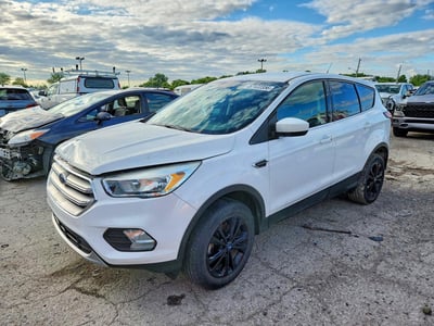 1FMCU0GD1KU****** 2019 Ford Escape