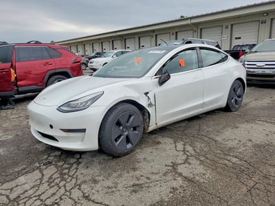 5YJ3E1EA0LF****** 2020 Tesla Model 3