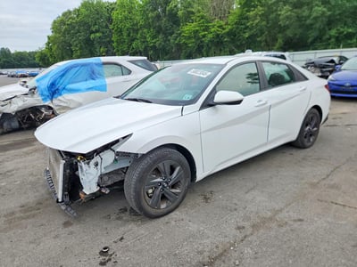5NPLM4AG7PH****** 2023 Hyundai Elantra