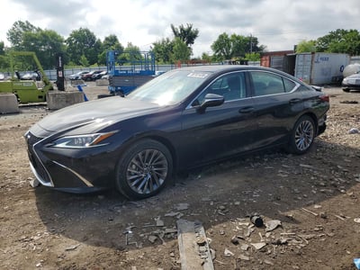 2025 Lexus ES 350
