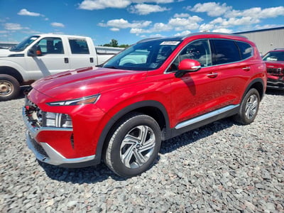 5NMS3DAJ1PH****** 2023 Hyundai Santa Fe