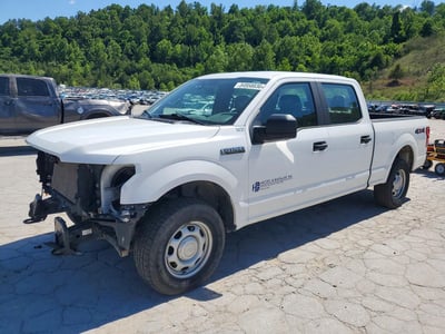 1FTFW1E53LF****** 2020 Ford F-150