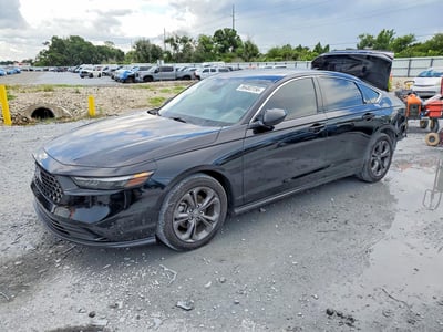 1HGCY1F34RA****** 2024 Honda Accord