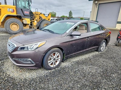 5NPE24AF8FH****** 2015 Hyundai Sonata