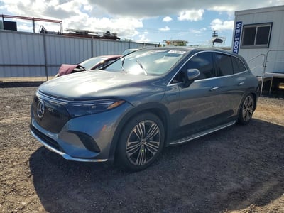 4JGDM2DB0PA****** 2023 Mercedes-Benz EQS