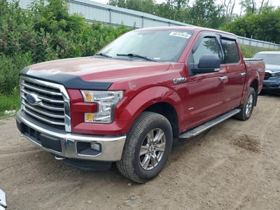 1FTEW1EG4FF****** 2015 Ford F-150