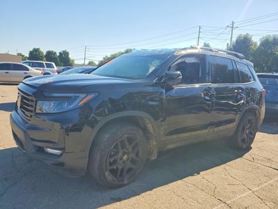 5FNYF8H84RB****** 2024 Honda Passport