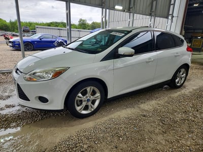 1FADP3K22DL****** 2013 Ford Focus