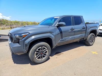 3TYLB5JN5RT****** 2024 Toyota Tacoma
