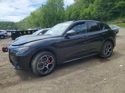 ZASPAKANXS7****** 2025 Alfa Romeo Stelvio