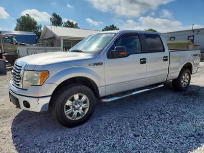 1FTFW1EV4AF****** 2010 Ford F-150