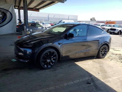 7SAYGDEDXRF****** 2024 Tesla Model Y
