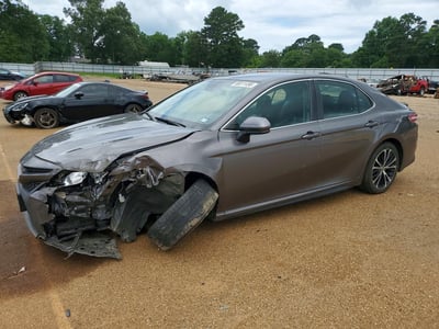 4T1G11AK6LU****** 2020 Toyota Camry