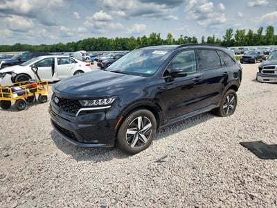 5XYRL4LC6MG****** 2021 Kia Sorento