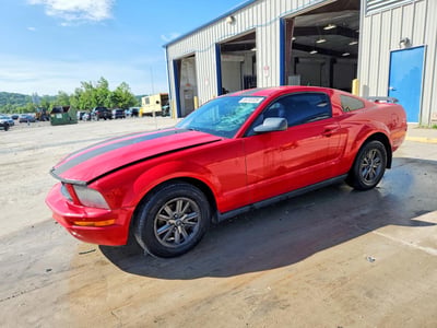 1ZVFT80N365****** 2006 Ford Mustang