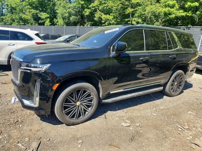 1GYS4BKL3RR****** 2024 Cadillac Escalade