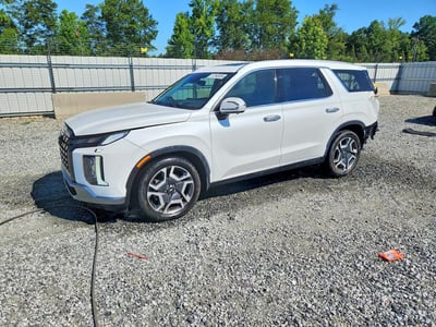 KM8R54GE9RU****** 2024 Hyundai Palisade