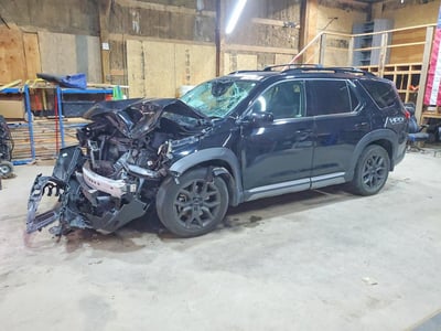 5FNYG1H85PB****** 2023 Honda Pilot