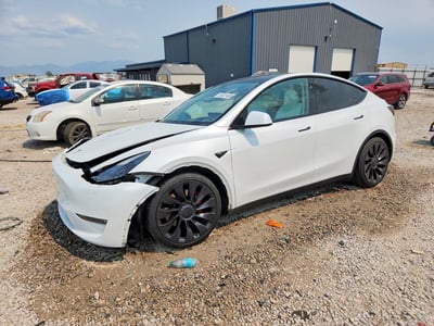 7SAYGDEF9PF****** 2023 Tesla Model Y