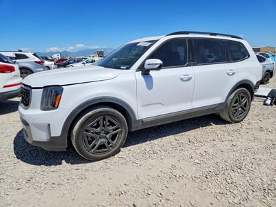 5XYP5DGC3PG****** 2023 Kia Telluride