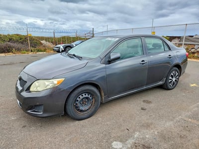 1NXBU4EE5AZ****** 2010 Toyota Corolla