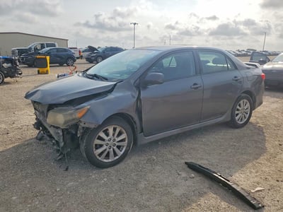 2T1BU4EEXAC****** 2010 Toyota Corolla