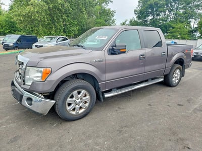 1FTFW1EF9EK****** 2014 Ford F-150
