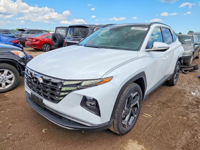 KM8JECD1XRU****** 2024 Hyundai Tucson