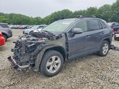 JTMRWRFV2KD****** 2019 Toyota RAV4