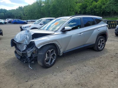 5NMJFCDE4RH****** 2024 Hyundai Tucson