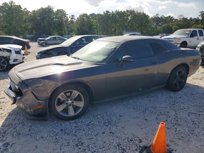 2C3CDYAG9DH****** 2013 Dodge Challenger