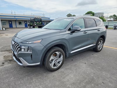 5NMS3DAJ9PH****** 2023 Hyundai Santa Fe