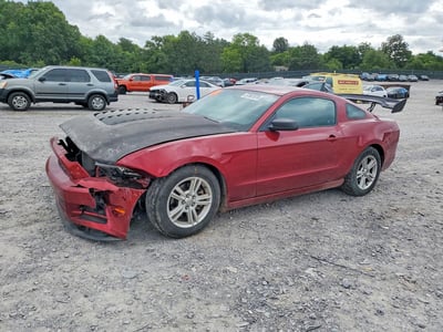 1ZVBP8AMXE5****** 2014 Ford Mustang