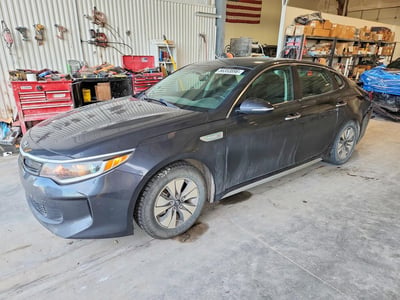 KNAGT4LE9H5****** 2017 Kia Optima